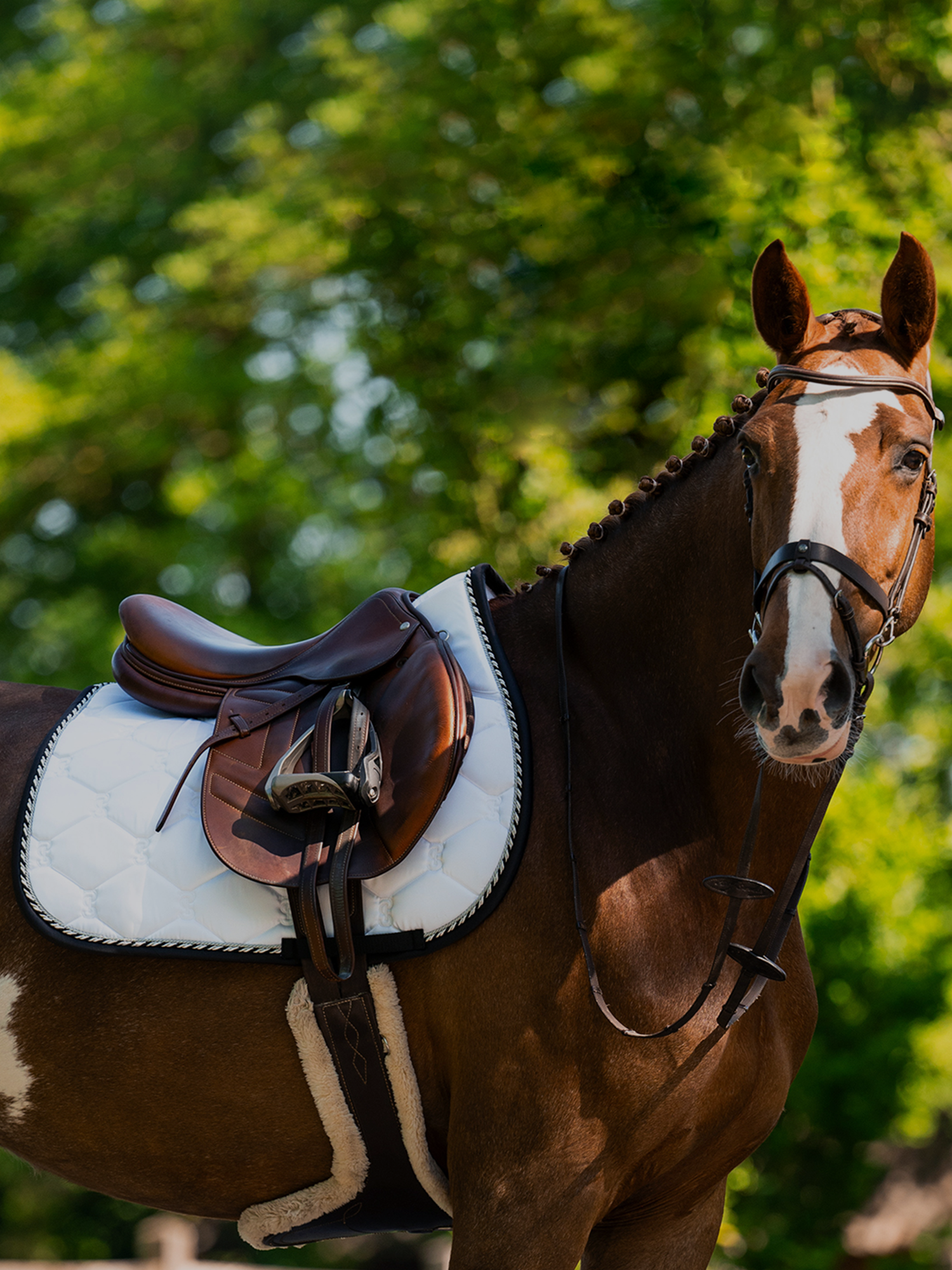 PS of Sweden • Equestrian quality products for horses and riders
